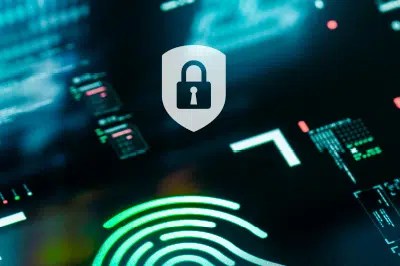 Garantice la seguridad de sus datos | UDS Enterprise Government