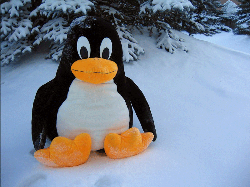 Good reasons to give Linux for Christmas