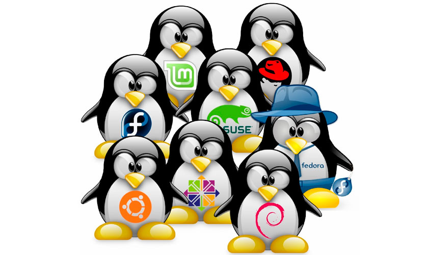 Linux distributions for developers