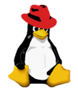 Red Hat lanza Red Hat Enterprise Linux 7 Atomic Host